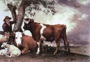 POTTER, Paulus the bull oil painting on canvas